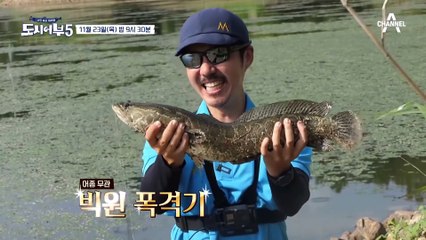 [예고] 진석기x나무x박과장 낚시 유튜버 총집합! 치열한 낚시 대결의 승자는?