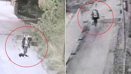 El arabası ile geldiği villadan çelik kasa çaldı: O anlar kamerada