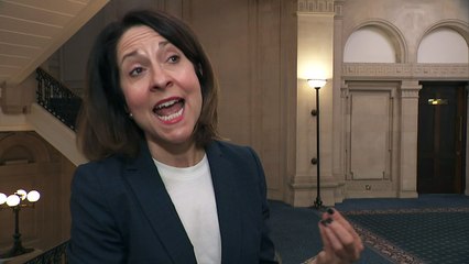 Labour MP defends party's ceasefire stance