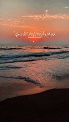 تلاوة رائعة للقرآن الكريم تجلب السكينة والراحة النفسية #chorts #قراءة