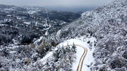 Sarıçiçek Yaylası'nın muhteşem dron görüntüleri