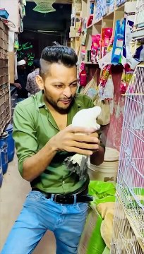 Apka favourite animal konsa hai-Sab se wafadar janwar konsa- Salman Noman❤️ #shorts #salmannoman