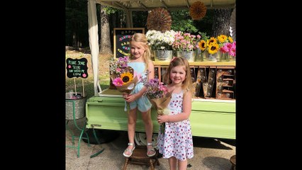 João Paulo Editor Blog de Roupa e Moda Infantil Ep. 1460