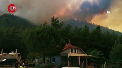 Aydın ve Muğla'da 11 ayda 819 hektar alan yandı