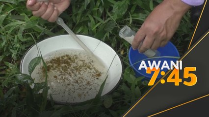 Bangladesh catat 300,000 kes denggi, 1,549 kematian