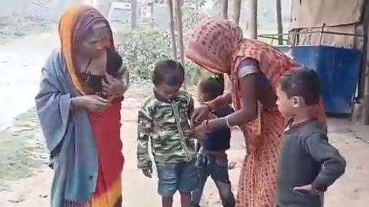 अररिया: आवारा कुत्तों के आतंक से ग्रामीण परेशान, 18 लोगों को किया जख्मी