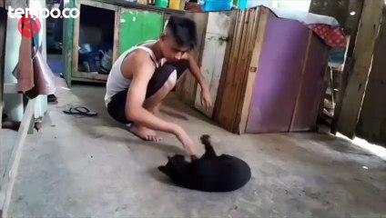 Rabies di NTT Capai 1.823 Kasus, Menko PMK Lakukan Sejumlah Langkah
