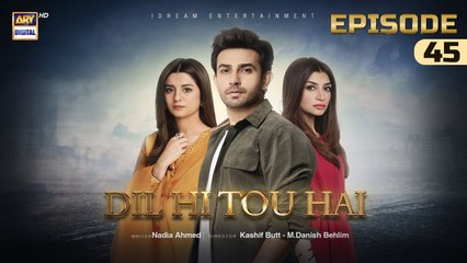 Dil Hi Tou Hai Episode 45 | 21 November 2023 | ARY Digital Drama