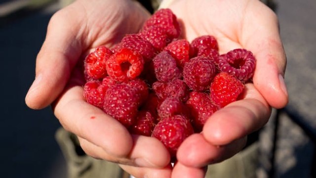 Alimentos Saludables Que Pueden Causar Fatiga Y Dolores Musculares
