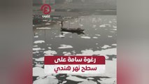 رغوة سامة على سطح نهر هندي