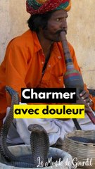 Les Secrets des Charmeurs de Serpents : Méthodes et Risques 🐍