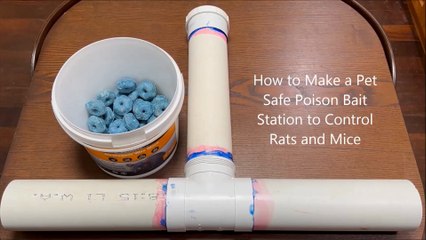 How to Make a Pet Safe Poison Bait Station the Control Rats and Mice