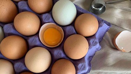 Les œufs provenant de poulaillers domestiques sont touchés par la contamination à Paris !