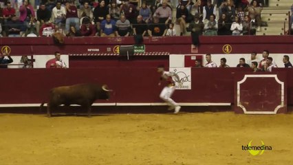 Desmontando a PACMA y los antitaurinos: Arte en estado puro