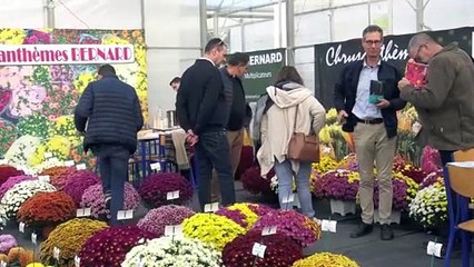 Salon du chrysanthème et jeunes plants horticoles