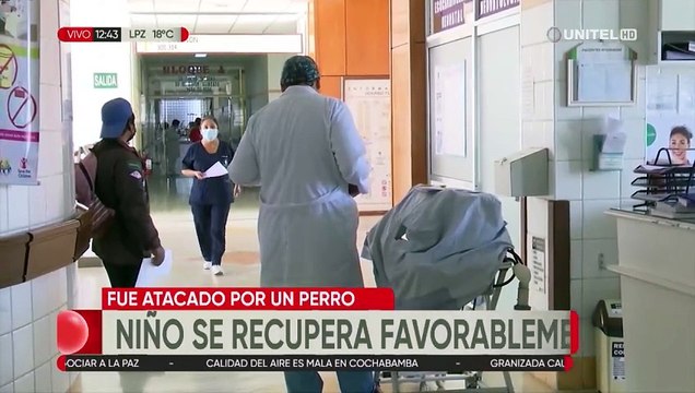 Niño mordido por un perro tiene lesiones profundas en los genitales y recibe tratamiento antirrábico