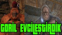 Komik Goril Evcilleştirme !!!! - Ark Survival Evolved 2.Sezon