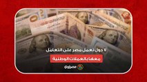 لمواجهة أزمة الدولار.. 7 دول تعمل مصر على التعامل معها بالعملات الوطنية