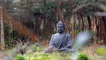 All 7 Chakra Healing Mantras Chakra Seed Mantra Meditation Music