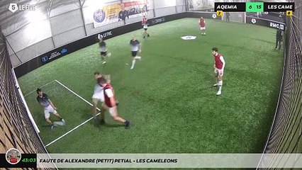 Faute de Alexandre (petit) Petial - LES CAMELEONS