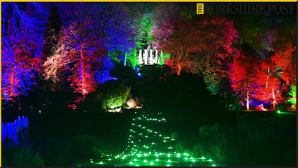 Glow 2023 at RHS Harlow Carr, Harrogate, creates a magical scene