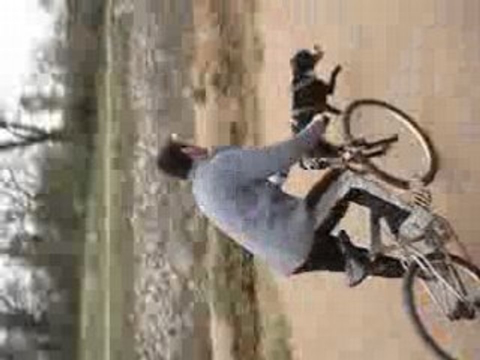 Photo 008