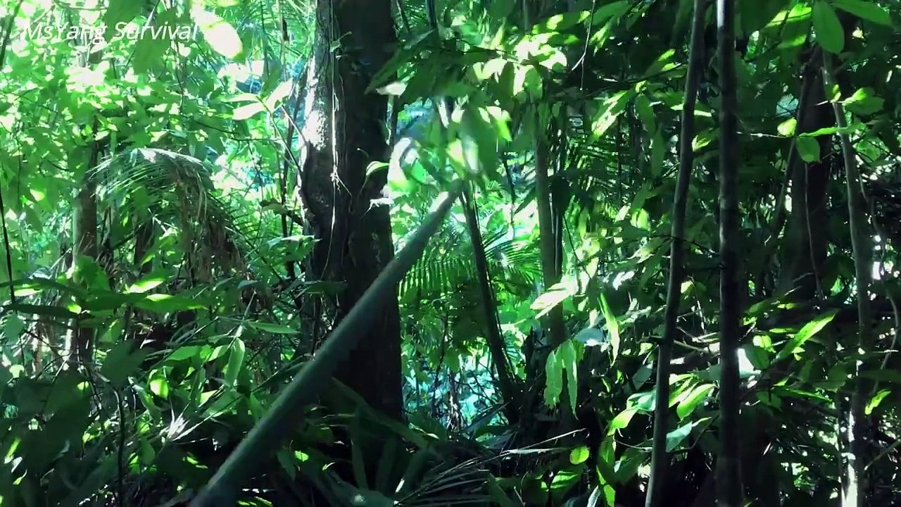 I bathe in streams,Build shelters out of stone and bamboo-Make fire with two stones_ MsYang Survival