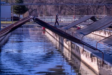 ¿Cómo funciona una piscifactoría? ¿Es peor el pescado? "Hay rotaciones de barbecho, como en las granjas de tierra"
