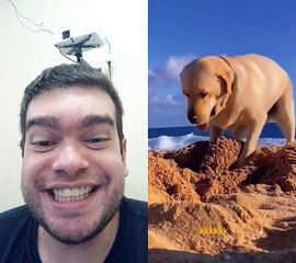 Olha esse cachorro kkk