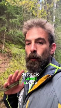 Testimone su TikTok, 'Ho avuto Filippo Turetta ad un metro da me'
