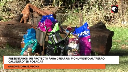 Presentaron un proyecto para crear un monumento al perro callejero en Posadas