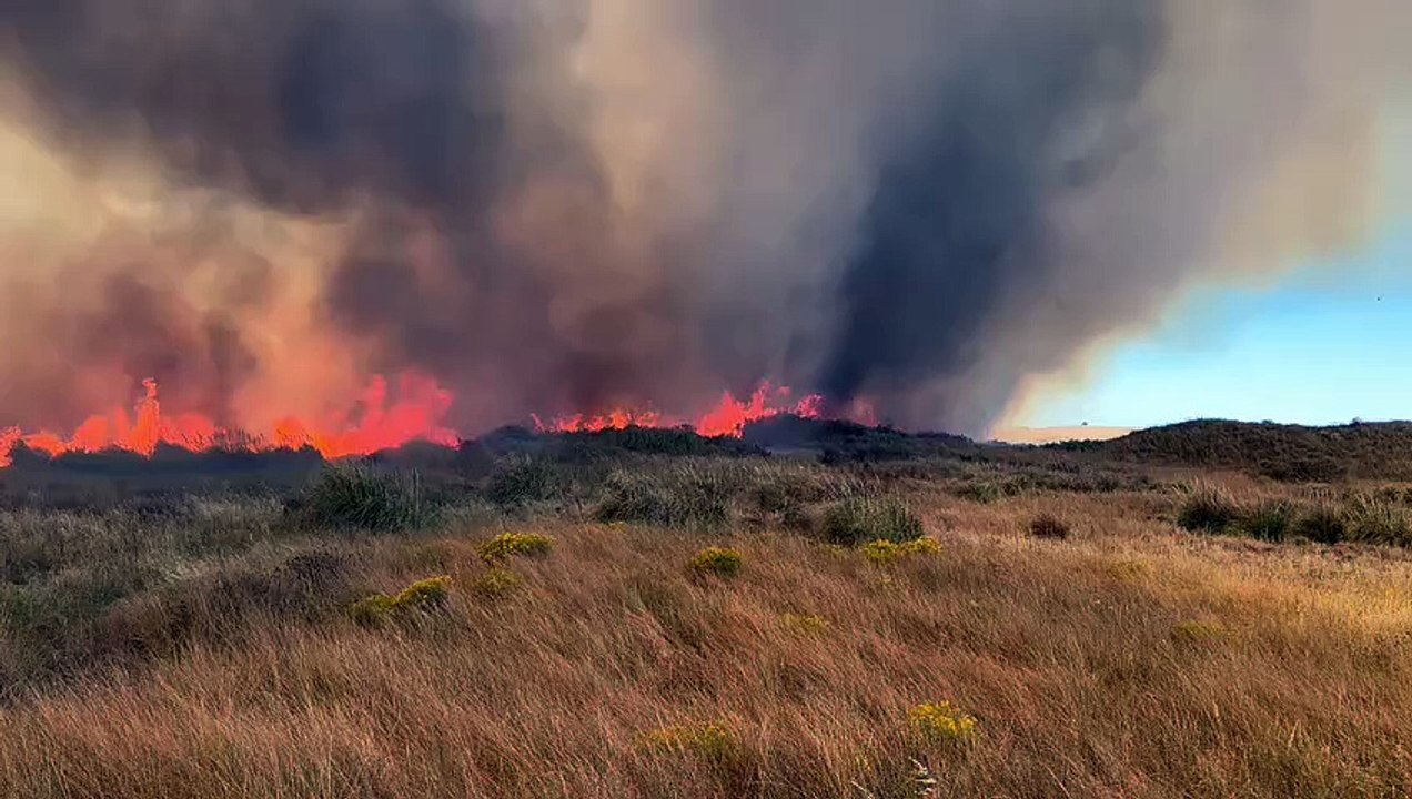 Incendio en Monte Hermoso