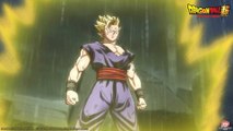 Dragon Ball Super : Super Hero