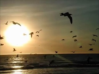 حين يهدى الصبح اشراق سناه, نصر الدين طوبار الابتهال كامل