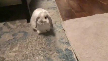 Let's Work Together - Vienna Black and Jasmine Vega