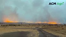 Fire 'tsunami' engulfs entire cattle stations in central Queensland | November 22, 2023 | Queensland Country Life