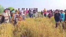 मधुबनी: लापता युवक का शव धान की खेत से बरामद, धारदार हथियार से गला रेतकर की गई हत्या