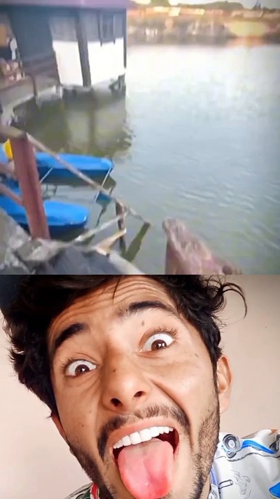 Bombastic Chicken #romansahil