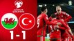 Wales vs Turkey 1-1 Highlights and Goals | Euro 2024 Qualification