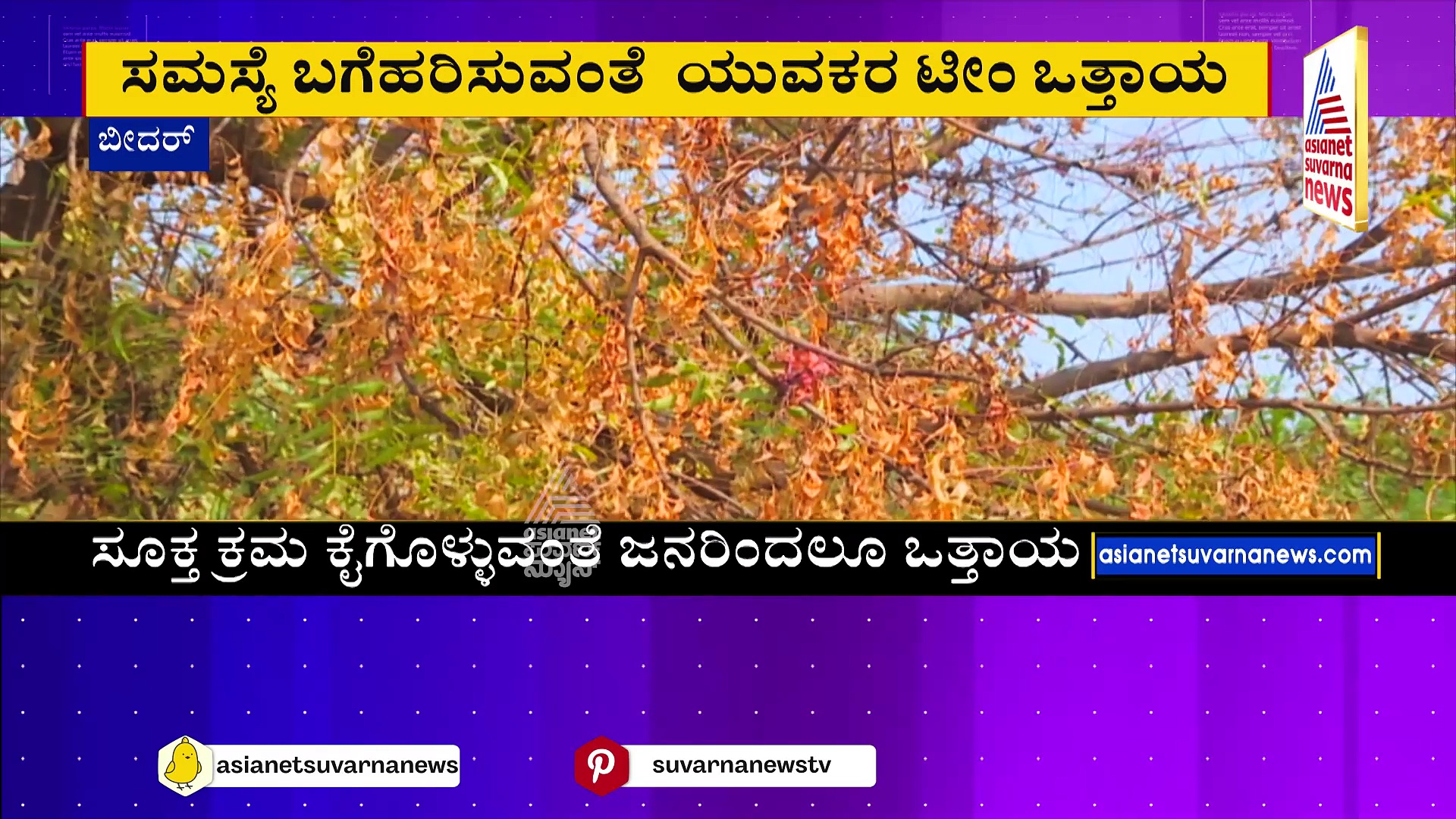 ರೋಗ ನಿರೋಧಕ ಬೇವಿನ ಮರಕ್ಕೇ ಅಂಟಿದ ರೋಗ..! ಅರಣ್ಯ ಸಚಿವರ ತವರಲ್ಲೇ ಅರಣ್ಯರೋಧನ..!