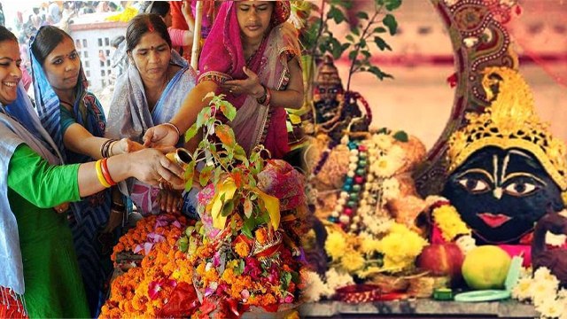 Tulsi Vivah 2023 Date Time: 23 या 24 नवंबर 2023 तुलसी विवाह कब, शुभ मुहूर्त क्या है | Boldsky