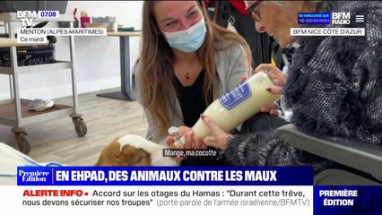 Alpes-Maritimes: dans cet Ehpad, des animaux de la ferme rendent visite aux résidents