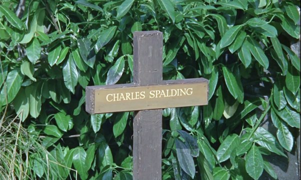 El Reptil 1966 Español Latino - The Reptile