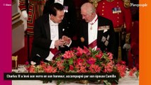 PHOTOS Kate Middleton somptueuse lors du banquet au bras de William : son accessoire très rare subjugue !