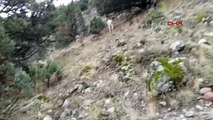 Bolu'da çoban köpekleri ayıları uzaklaştırdı