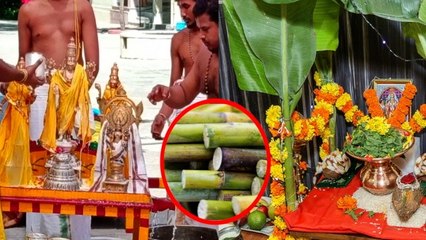 Dev Uthani Ekadashi 2023: देवउठनी एकादशी के दिन क्या करना चाहिए क्या नहीं | Boldsky