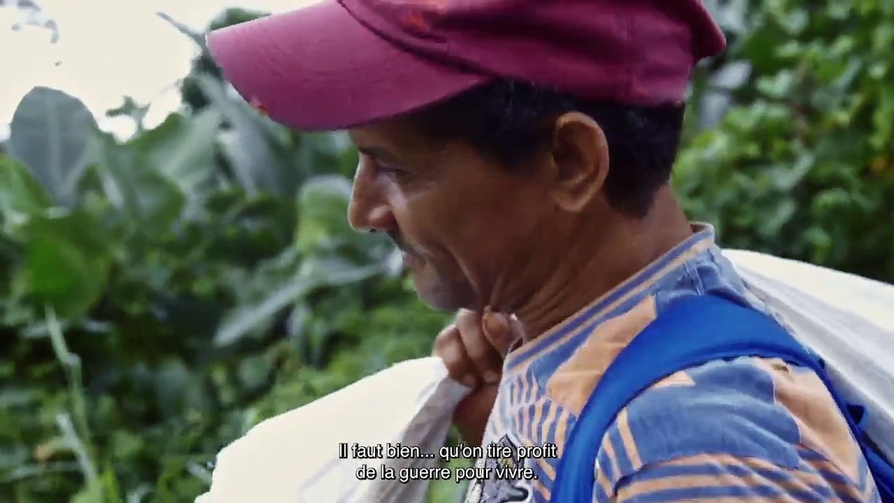 Colombia in My Arms (2020) - Bande annonce