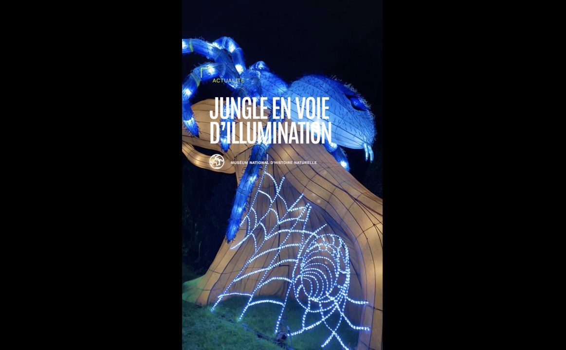 Jardin des Plantes : "Jungle en voie d’illumination", une exposition pour découvrir la biodiversité des forêts tropicales humides