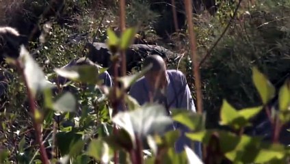 Thiên Long Bát Bộ 2003 Tập 12 Thuyết Minh