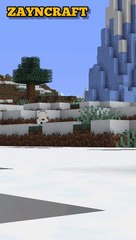 MINECRAFT GAME CLIPS #3